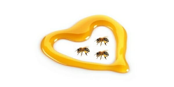 amor por las abejas