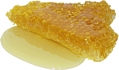 Panal de miel de abeja